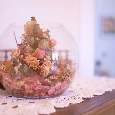 بيت ضيافة Joy Living 3*