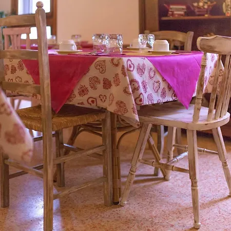 Joy Living 3* ساندرا