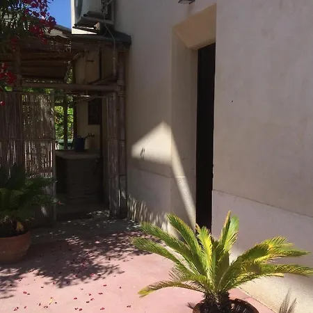 Joy Living بيت ضيافة 3*